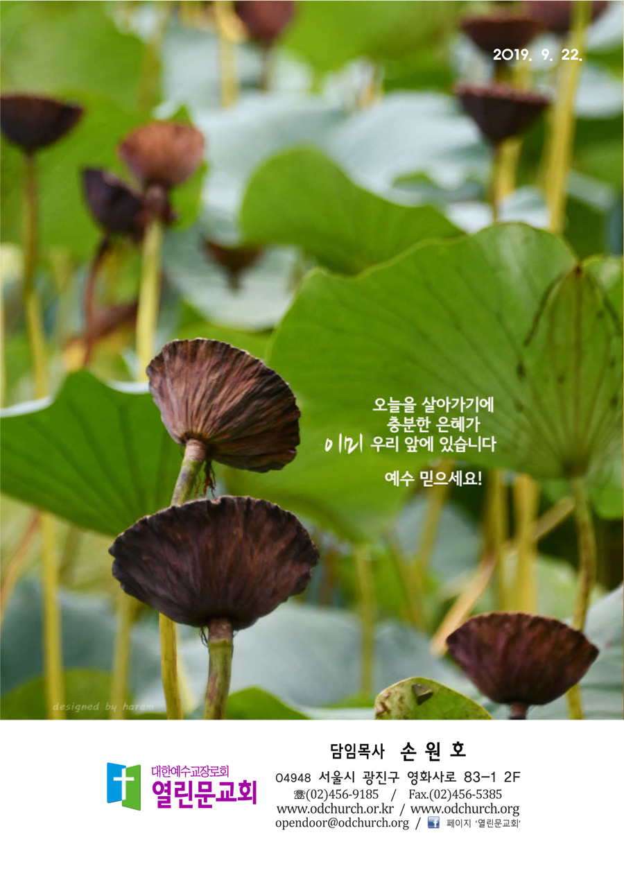 bc09bde659a28147aca7f7ea6ff421dd.jpg