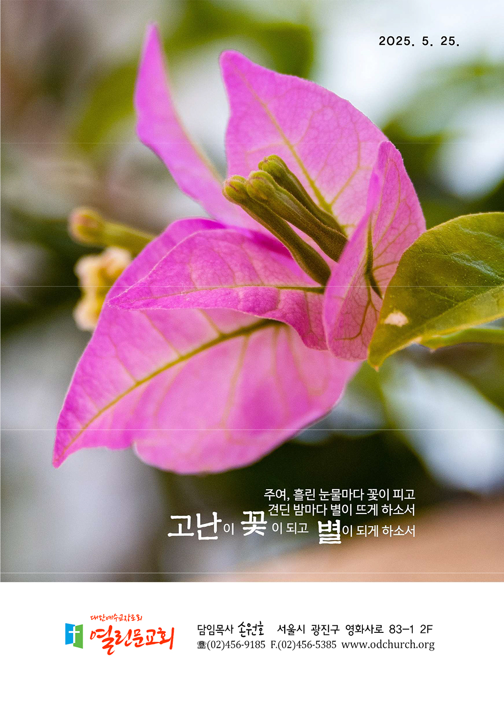 jubo 20250525 1.jpg
