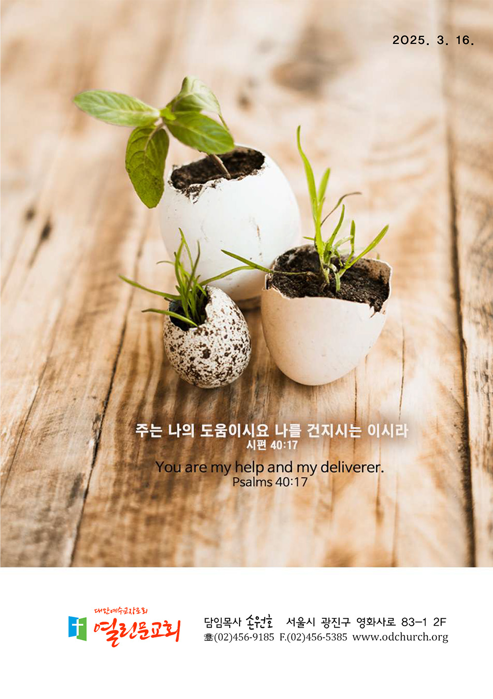 jubo 20250316 1.jpg