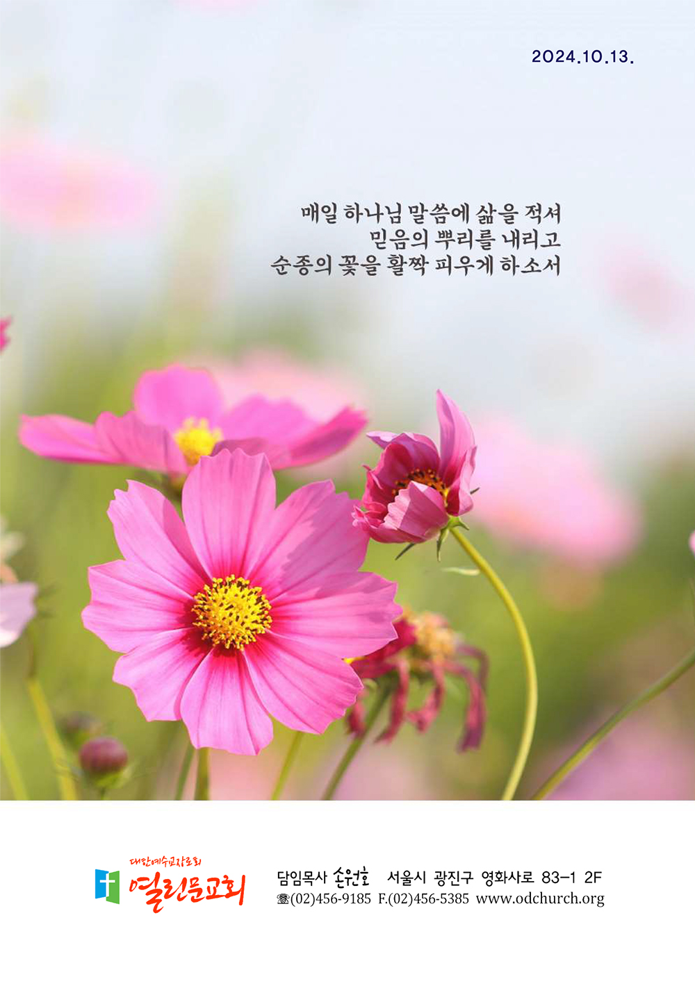 jubo 20241013 1.jpg