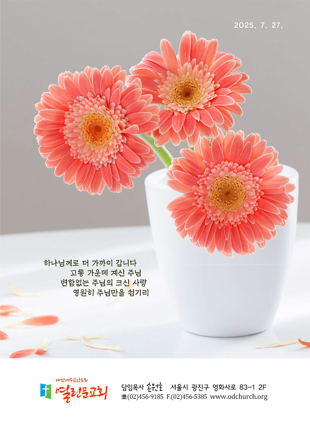 jubo 20250727 1.jpg