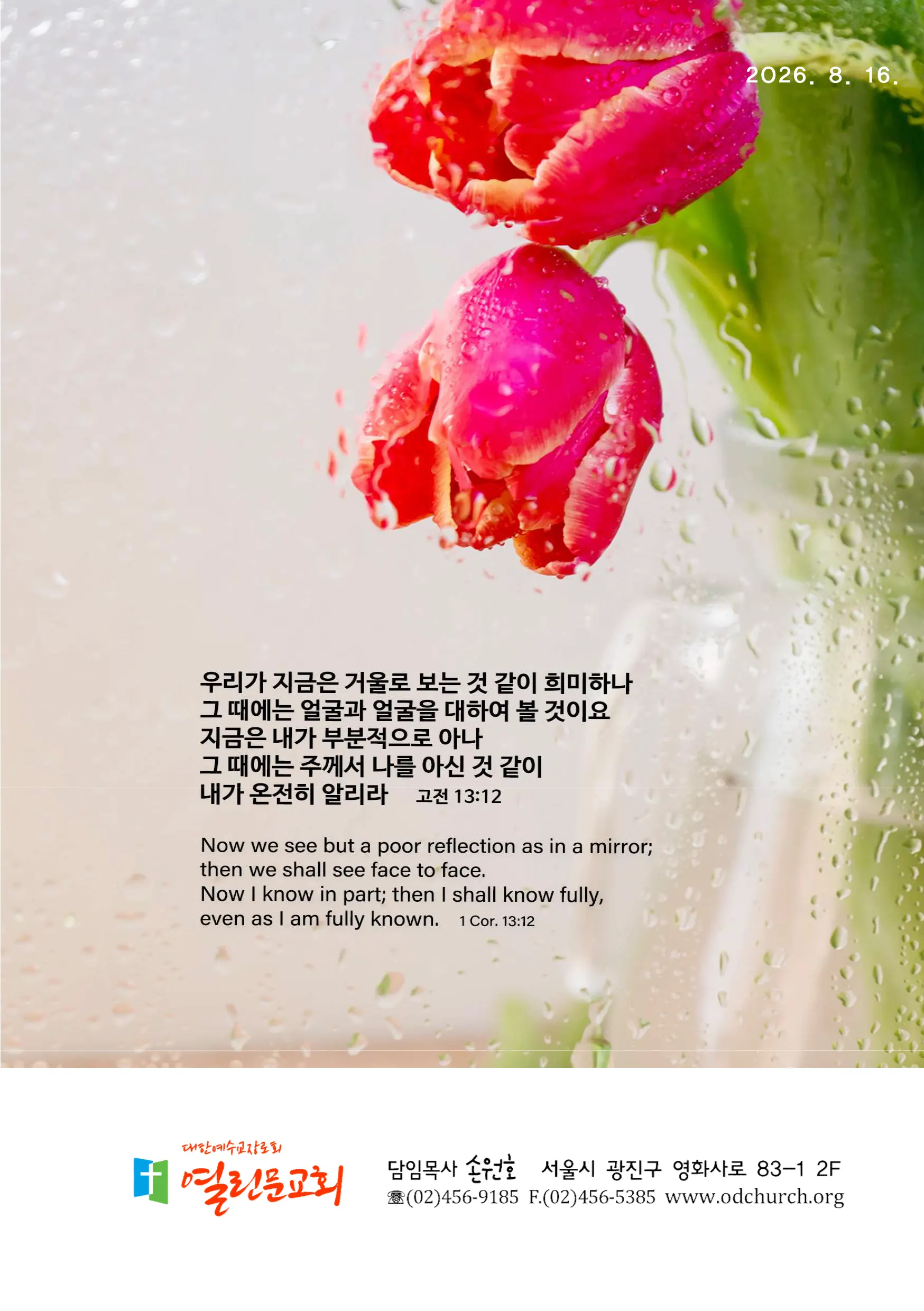 jubo 20260816 1.webp