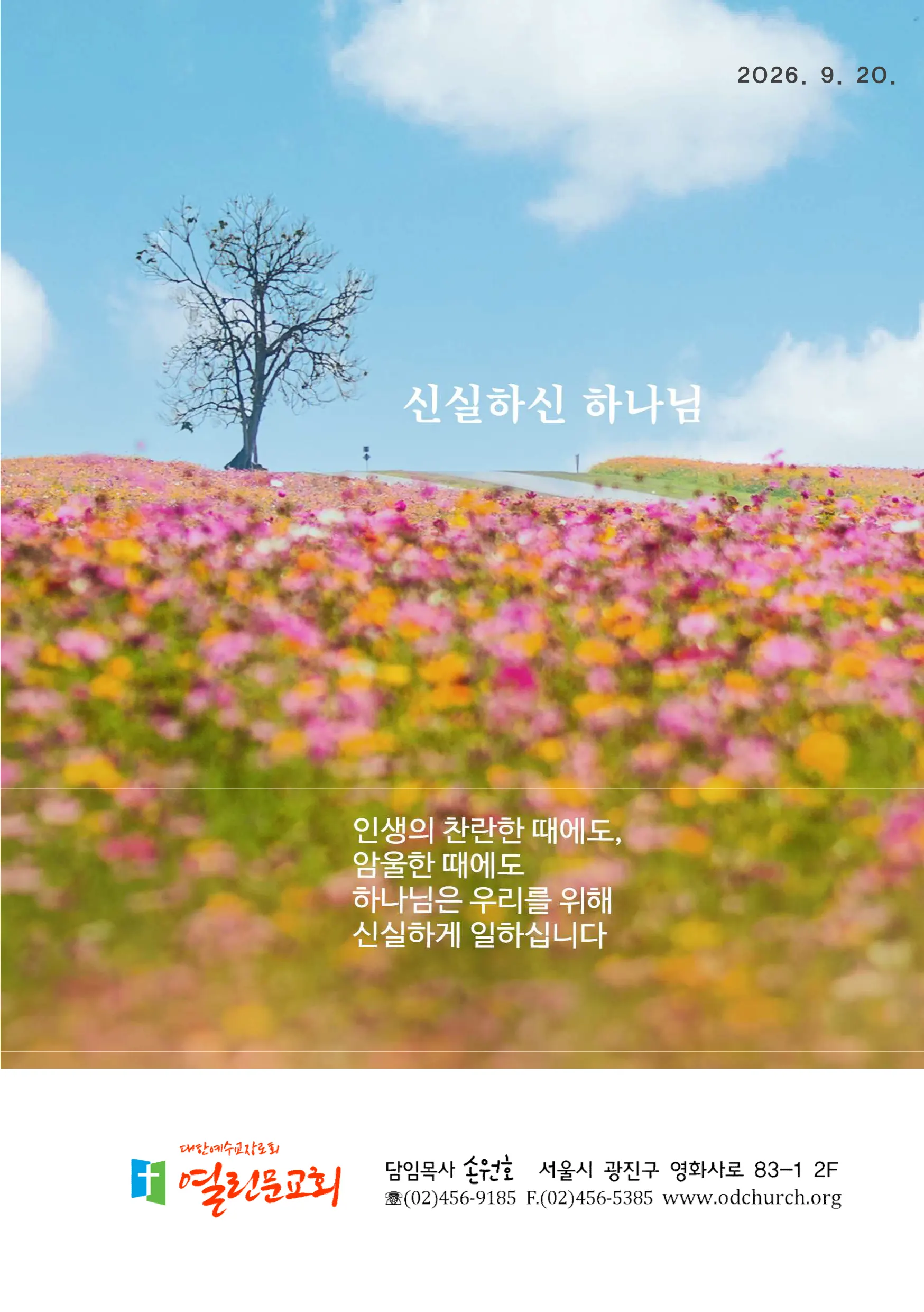 jubo 20260920 1.webp