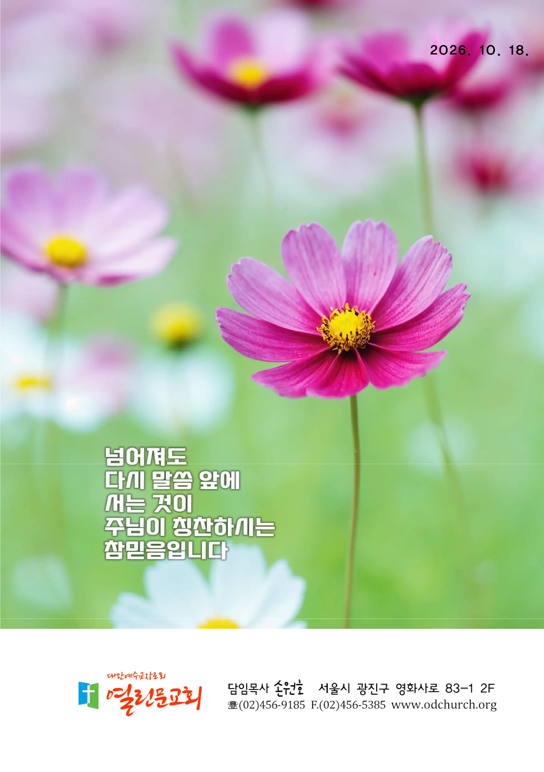 jubo 20261018 1.webp