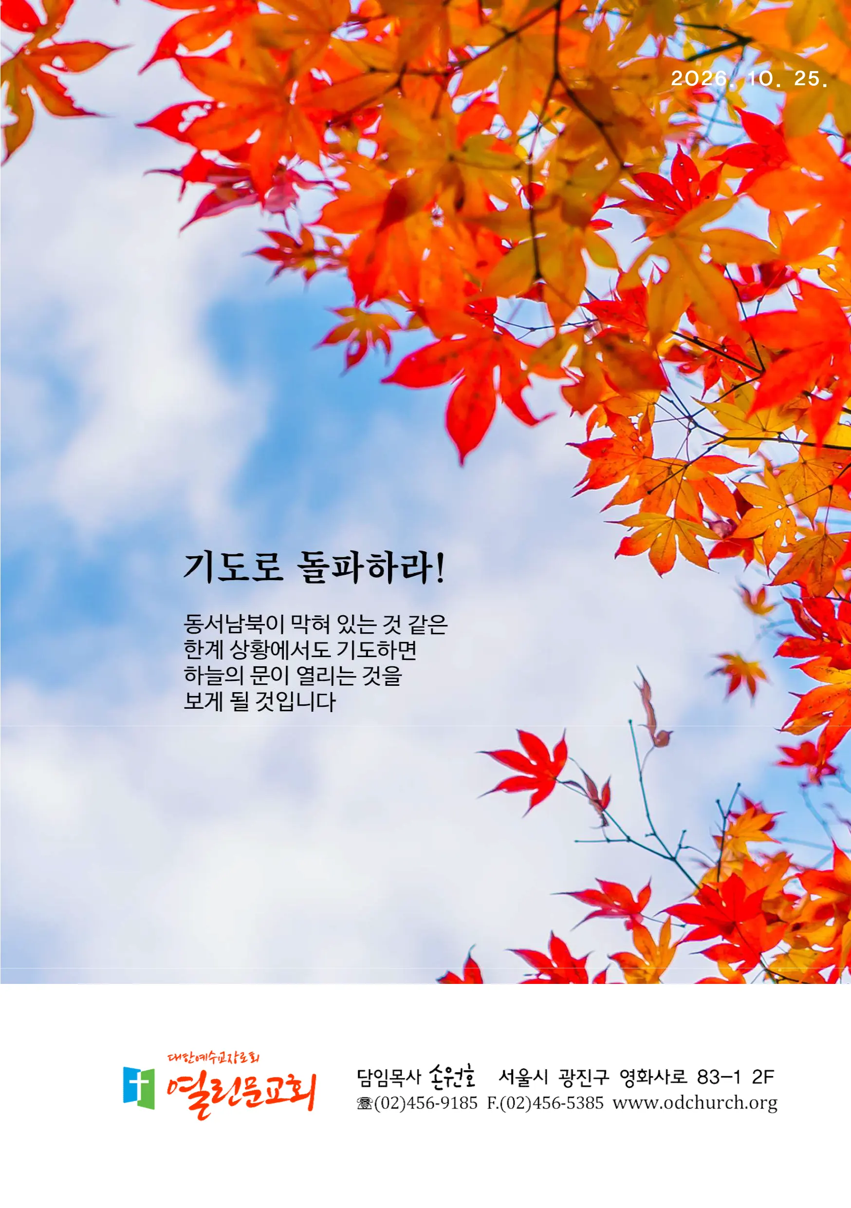 jubo 20261025 1.webp