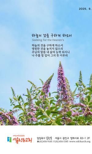 2025년 9월 7일 주보