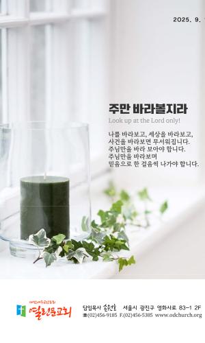 2025년 9월 14일 주보