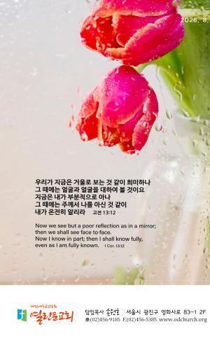 8월 16일 주보