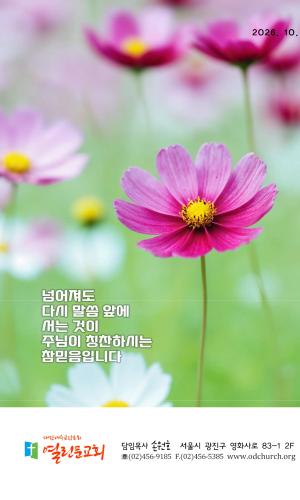 10월 18일 주보