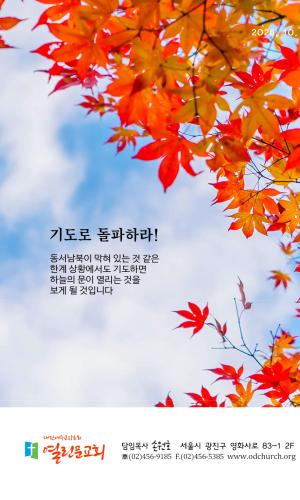 10월 25일  주보