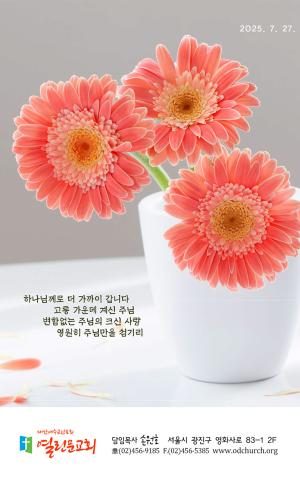 2025년 7월 27일